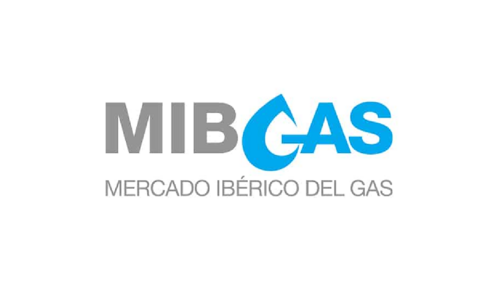 Imagen de MIBGAS